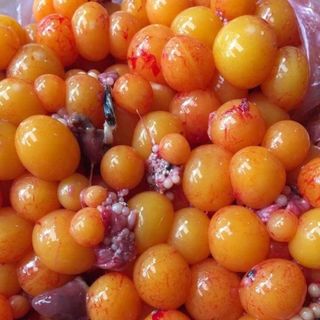 Dâu tây kê gà tim gà trứng gà non