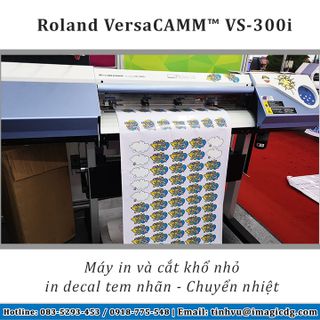 Máy in decal chuyển nhiệt Nhật Bản Roland VS-300i