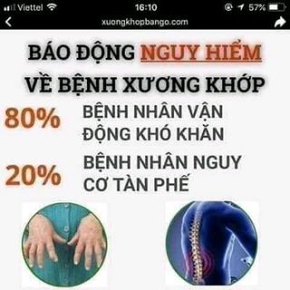 THẢO MỘC NAM