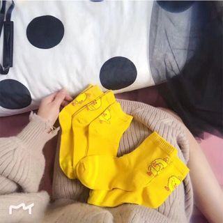combo 5 đôi tất vịt
