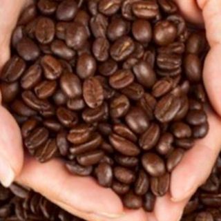 Cafe robusta chế biến ướt cao cấp