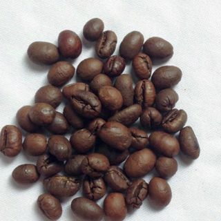 Caffe nguyên chất các loại