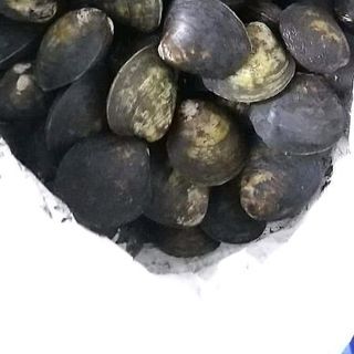vọp sông tươi sống