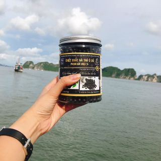 HÀ THỦ Ô ĐỎ PHẠM GIA GOLD 3 - Đen tóc - Đẹp da - Tăng cường sinh lý giá sỉ