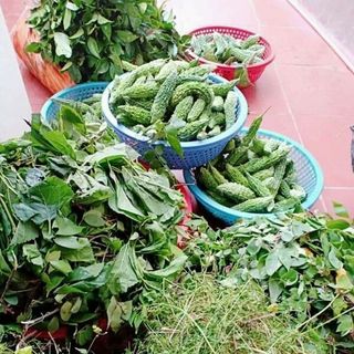 nước tắm thảo dược cho bé