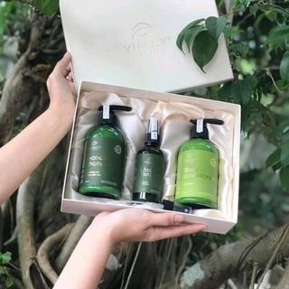 Bộ 3 sản phẩm chăm sóc tóc Vijully