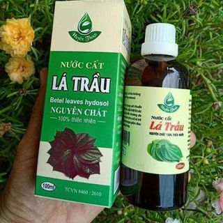 Nước cất lá trầu 100ml