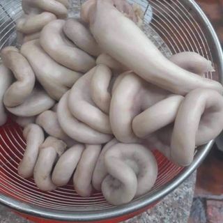 Kê gàtim gàtrứng gà non tràng heo