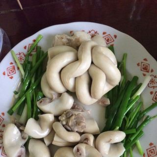 Kê gàtim gàtrứng gà non tràng heo