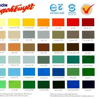 Phân phối toàn quốc