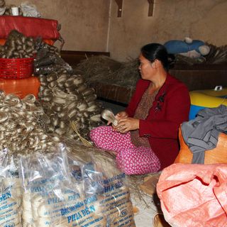 Miến Dong Phia Đén - Cao Bằng Green