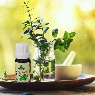 tinh dầu bạc hà 10ml giá sỉ