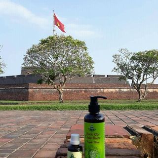 nước gội thảo dược 250ml