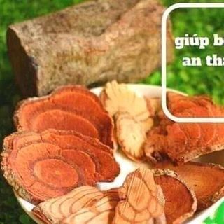 cỏ máu tâm an
