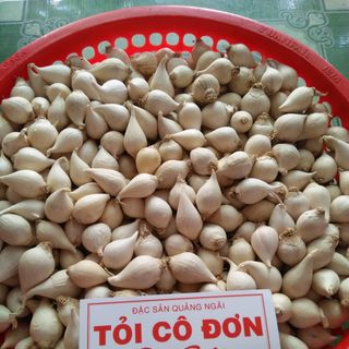 TỎI CÔ ĐƠN LÝ SƠN CHÍNH GỐC- 1KG
