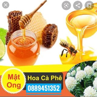 Mât Ong Hoa Cape Tay Nguyen