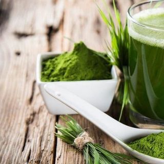 BỘT CHÙM NGÂY ORGANIC