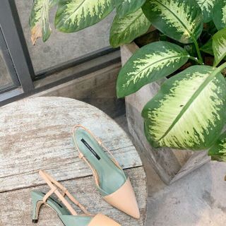 Giày sandal min bít mũi nhọn hở gót sang chảnh