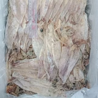 mực kiên giang