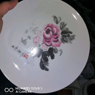 đĩa nhật bản