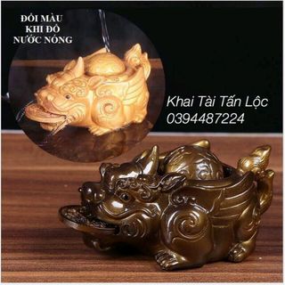tỳ hưu đổi màu