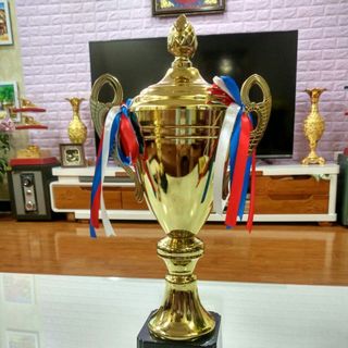 cúp đồng thể thao bán biểu tượng thể thao cúp quả bóng cúp dầy vàng