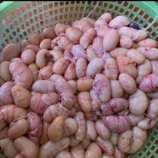 Kê gà tươi
