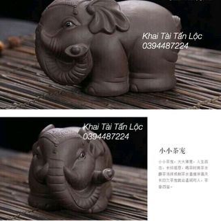 bộ chú voi mai mắn