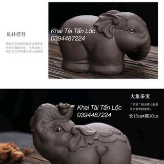 bộ chú voi mai mắn