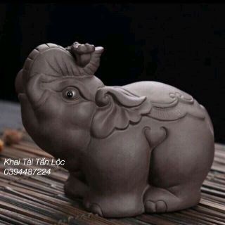 bộ chú voi mai mắn