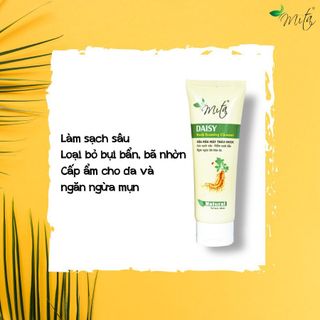 Sữa Rửa Mặt Trị Mụn Thảo Dược Mita - Sạch Mụn Mờ Thâm
