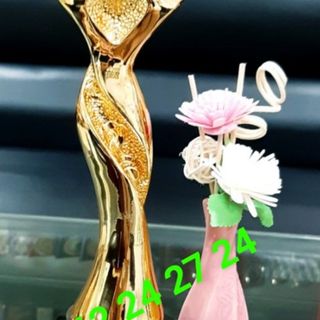 cúp chuyên ngành nail làm biểu tượng tặng nhân viên bằng đồng cúp vàng bạc đồng