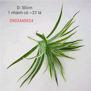 Cây Nhựa Pvc - Bụi Cỏ Nhựa Trang Trí Có Ảnh Thật