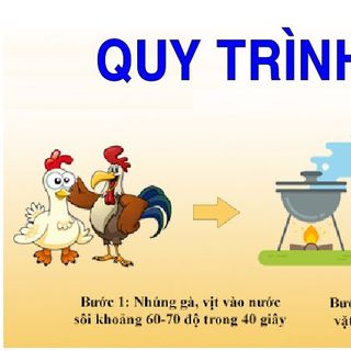 Máy vặt lông gà chim dê chó
