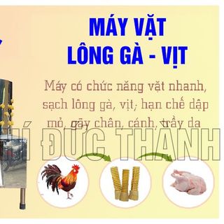 Máy vặt lông gà chim dê chó
