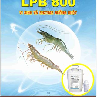 LPB800 Men vi sinh dạng nước đậm đặc