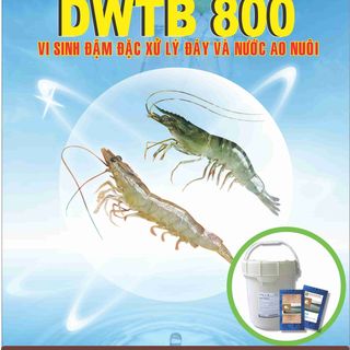 DWTB 800 Men vi sinh xử lý đáy và nước giá sỉ