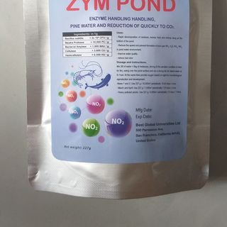 Men vi sinh xử lý đáy chuyên xử lý NO2