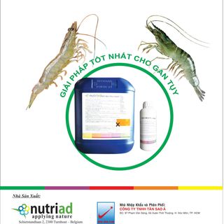 TOXYNIL AQUA Bước đột phá về điều trị bệnh gan trên Tôm và Cá