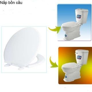 nắp bồn cầu nhựa trắng dày nặng 1kg