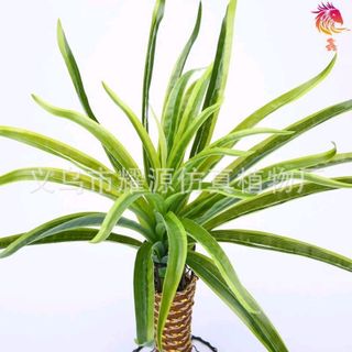 Cây Nhựa Pvc - Bụi Cỏ Nhựa Trang Trí Có Ảnh Thật
