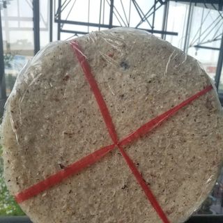 Bánh tráng dừa- Đặc sản Bình Định