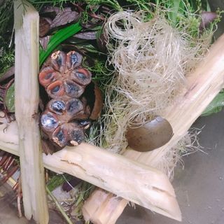Sâm Thập Vị Nấu Sẵn