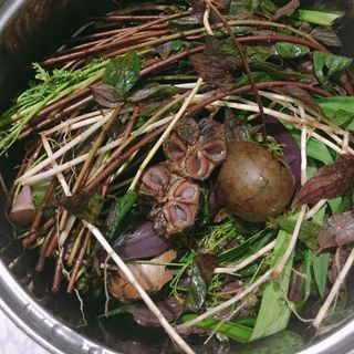Sâm Thập Vị Nấu Sẵn