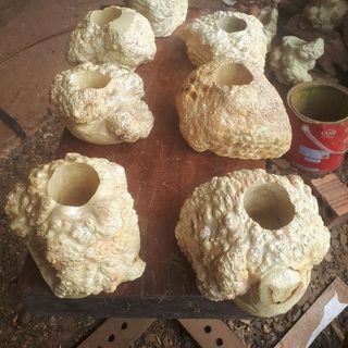 Lọ Tăm Hủ đựng Tăm Ống Tăm Lọ đựng Tâm Hủ tâm ống tâm Tăm tre Tăm trầm lọ tăm nu Cà Phê nu gai