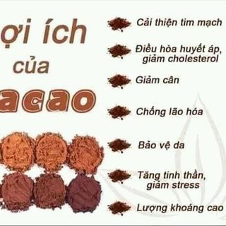Ca cao