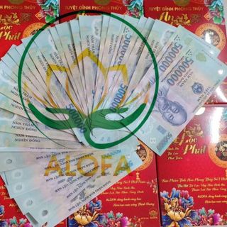 BỘT THẢO DƯỢC PHONG THUỶ ALOFA