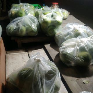 Bưởi da xanh bưởi đường lá cam