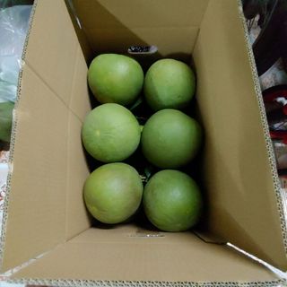 Bưởi da xanh bưởi đường lá cam