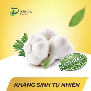 Dầu tỏi Diệp Chi Gold trị Ho- Sổ Mũi